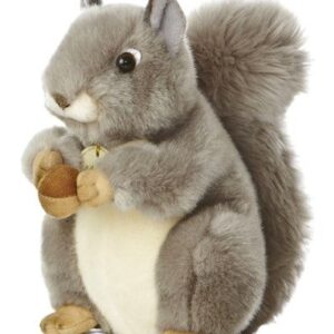 Grey Squirrel Miyoni 10 Grey Squirrel Miyoni 10