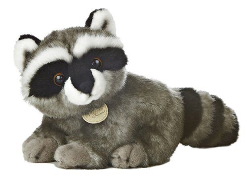 Racoon Miyoni 10 Racoon Miyoni 10