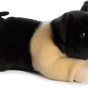 Hampshire Pig 11 inch Miyoni Hampshire Pig 11 inch Miyoni
