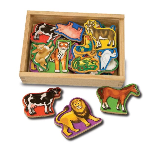 Animal Magnets In A Box
