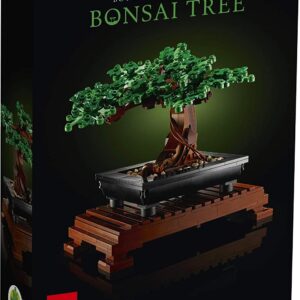 BONSAI TREE