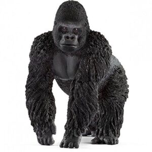 Gorilla, Male Gorilla, Male