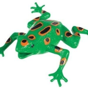 Frog Squishimal 5 inch (One Random Color) Frog Squishimal 5 inch (One Random Color)