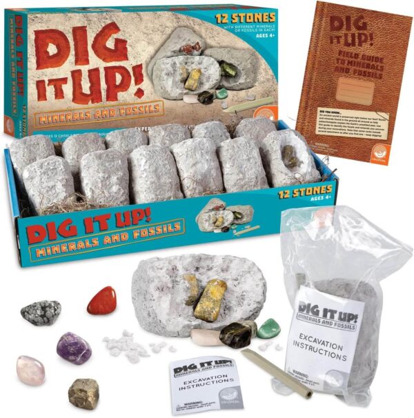 Dig It Up - Minerals & Fossils