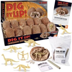 Dig It Up! Dino Skeletons