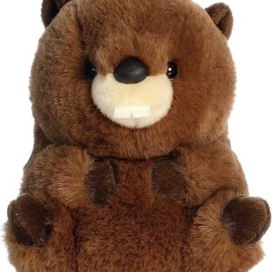Beethoven Beaver 5 Inch