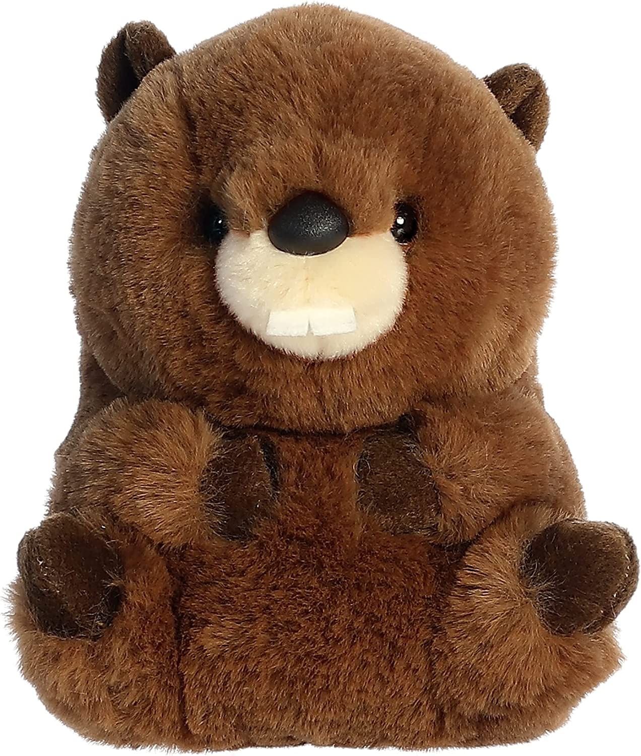 Beethoven Beaver 5 Inch Beethoven Beaver 5 Inch