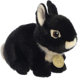 Netherland Dwarf Bunny Blk Netherland Dwarf Bunny Blk