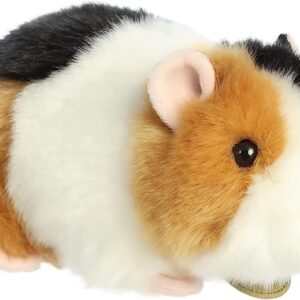 Guinea Pig Myoni 7.5 Inch Guinea Pig Myoni 7.5 Inch