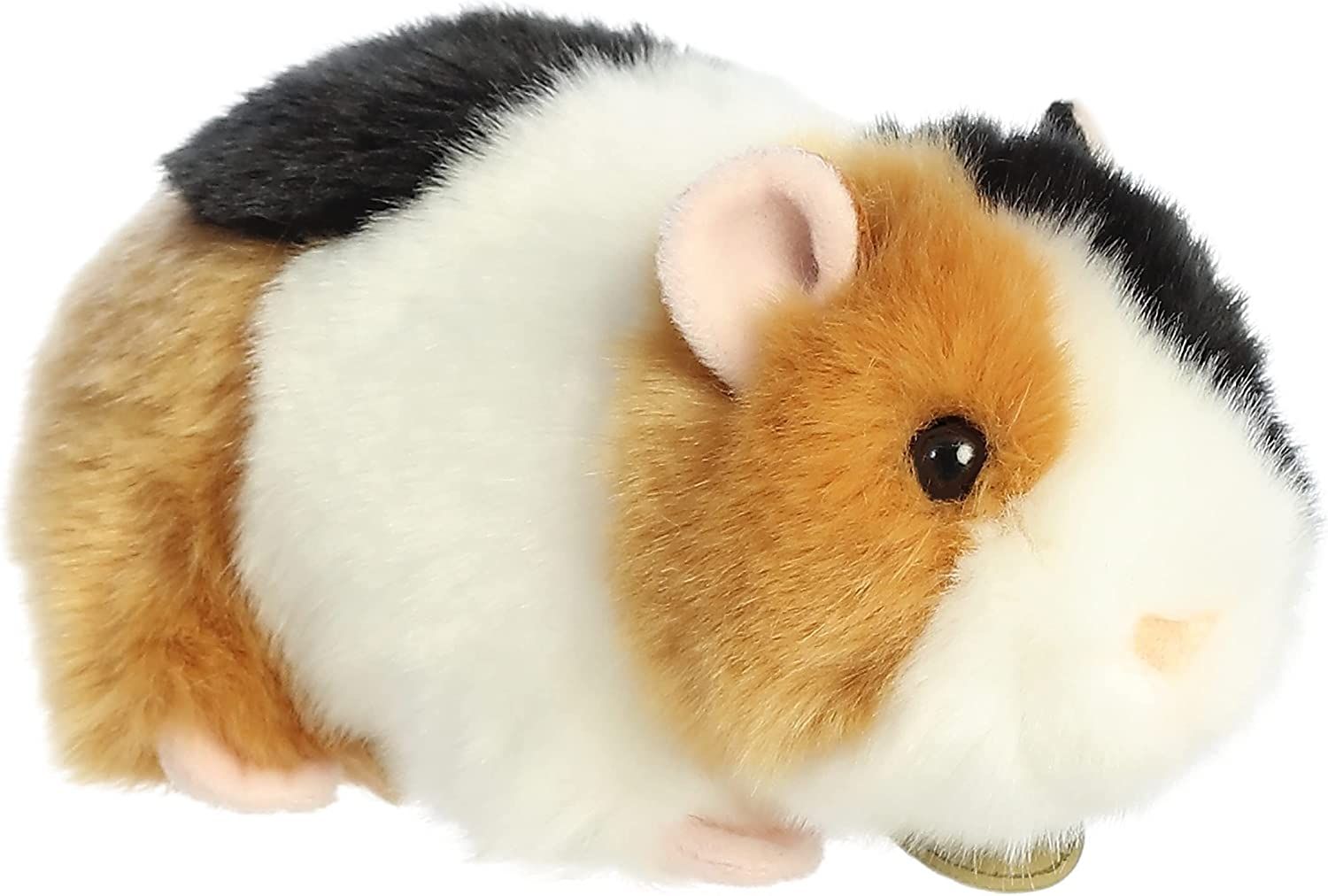 Guinea Pig Myoni 7.5 Inch - Toys & Co. - Aurora