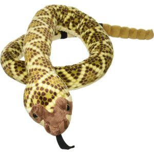Big Head Western Rattlesnake Big Head Western Rattlesnake