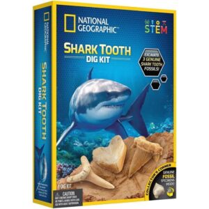 Shark Tooth Dig Kit Ng