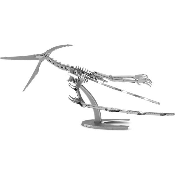Pteranodon Skeleton M. Earth