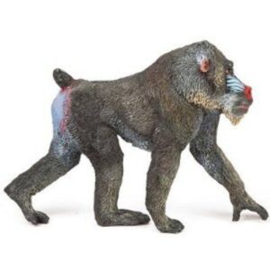 Mandrill Mandrill