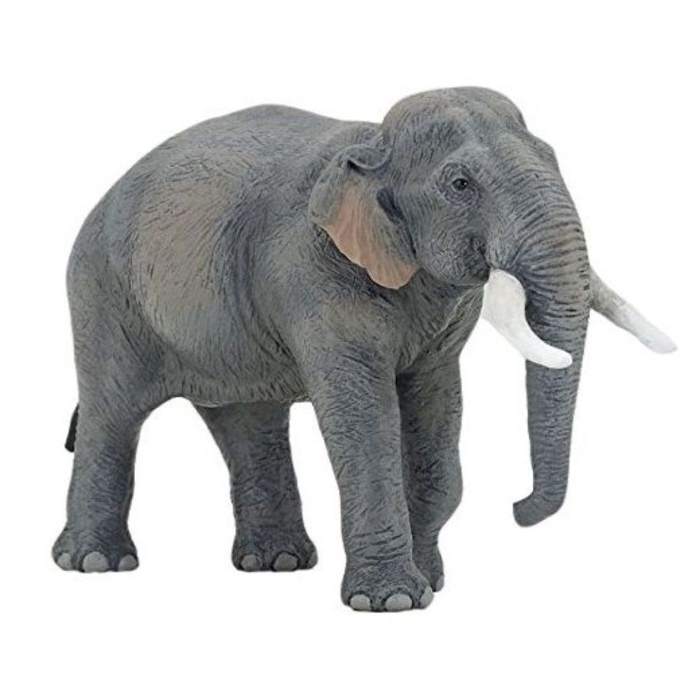 Asian Elephant - Toys & Co. - Papo