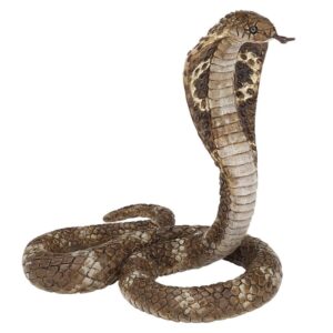 King Cobra King Cobra