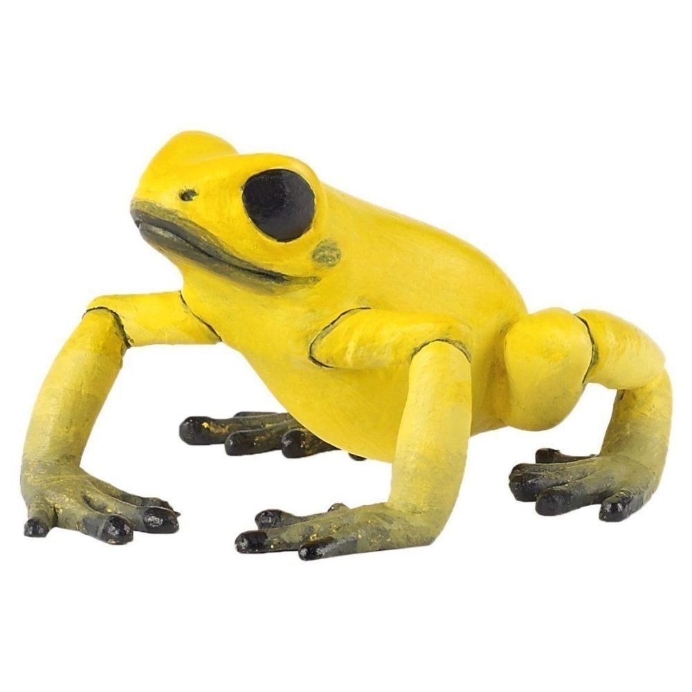 equatorial-yellow-frog-toys-co