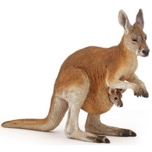 Kangaroo & Joey Kangaroo & Joey