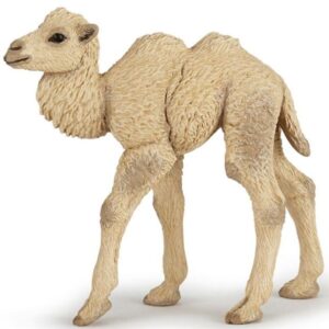 Camel Calf