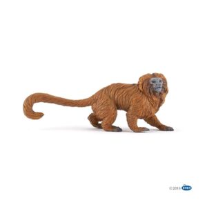 Golden Lion Tamarin Golden Lion Tamarin