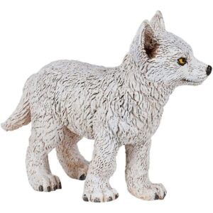 Young Polar Wolf Young Polar Wolf