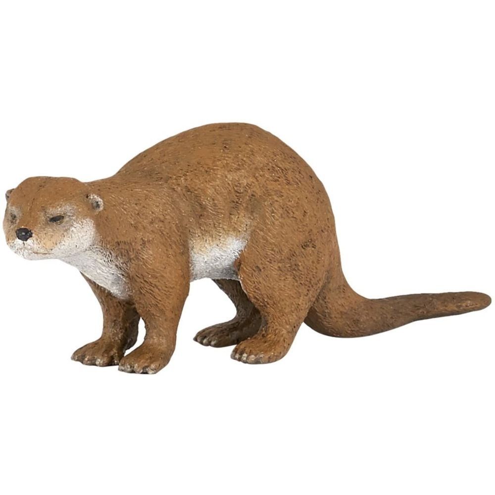 Otter Otter