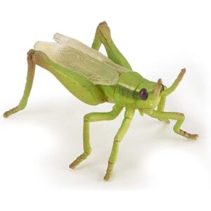 Grasshopper Grasshopper