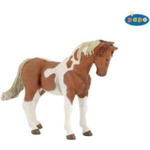 Pinto Horse Mare Pinto Horse Mare