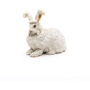 Angora Rabbit