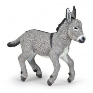 Provence Donkey Foal