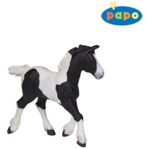 Black Cob Foal Black Cob Foal