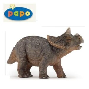 Triceratops Young Triceratops Young