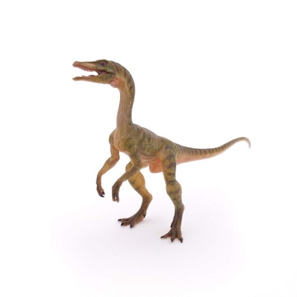 Compsognathus Dinosaur