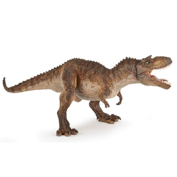 Gorgosaurus Dinosaur
