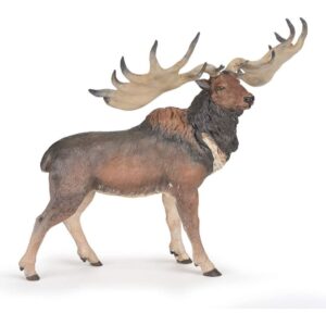 Megaloceros Megaloceros