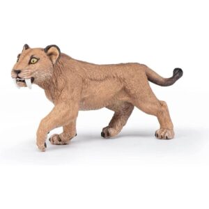 Young Smilodon Young Smilodon