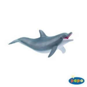 Playing Dolphin Playing Dolphin
