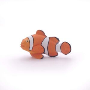 Clownfish Clownfish