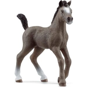 Cheval De Selle Foal Cheval De Selle Foal
