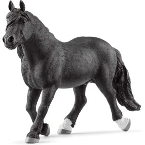 Noriker Stallion