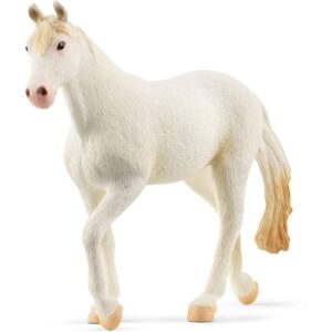 Calmarillo Mare Calmarillo Mare