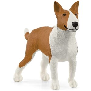 Bull Terrier Bull Terrier