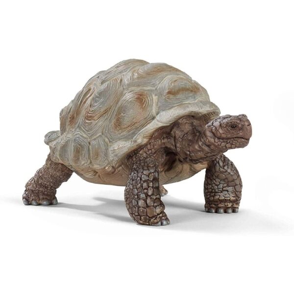 Giant Tortoise Figure