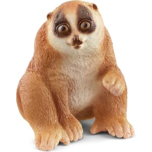 Slow Loris Slow Loris