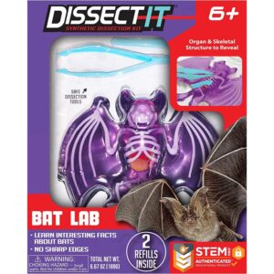 Dissect- It Bat Lab Dissect- It Bat Lab