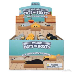 Racing Cat In A Box Racing Cat In A Box