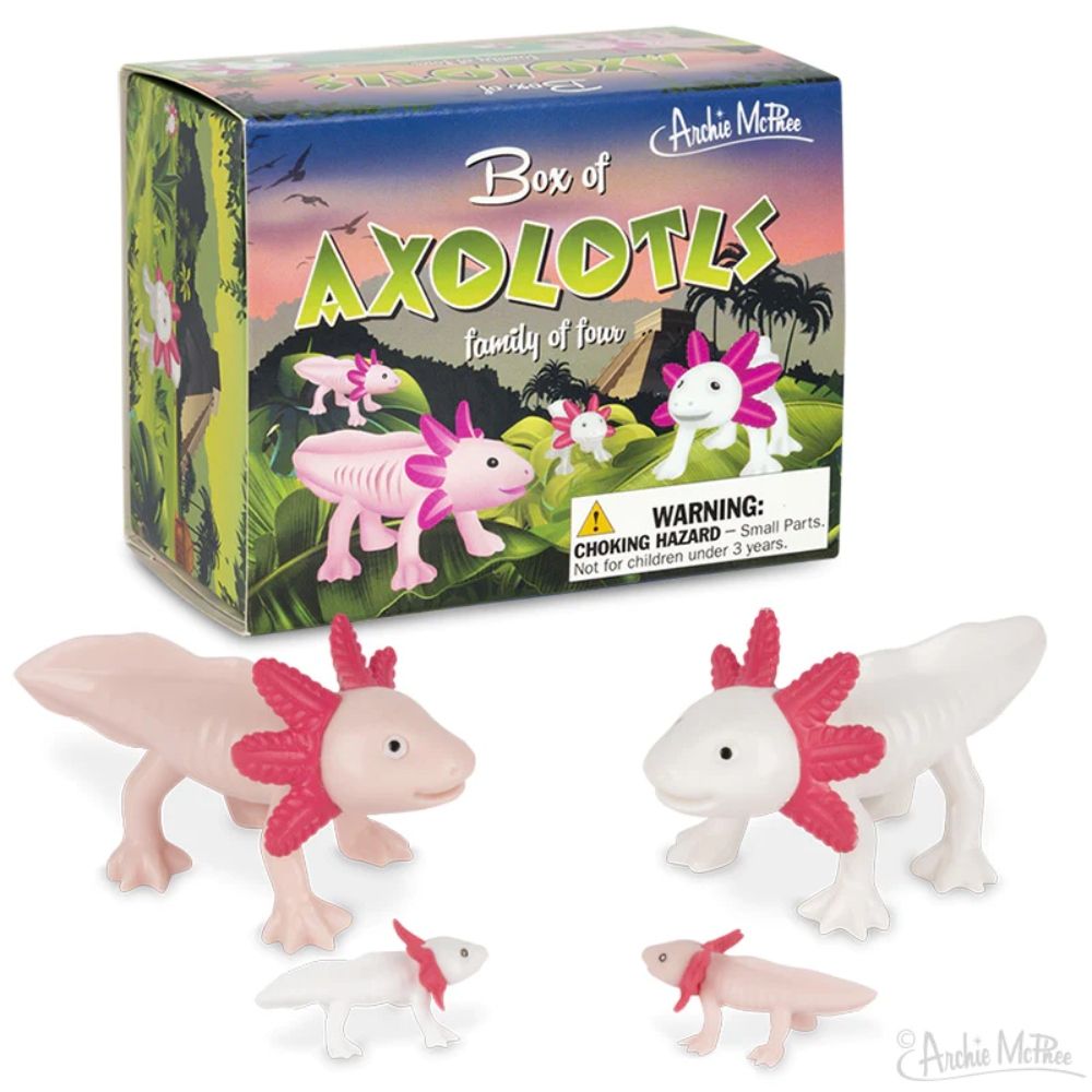 Box of Happy Axolotls - Toys & Co.