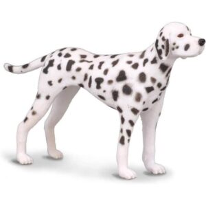 Dalmatian Dalmatian