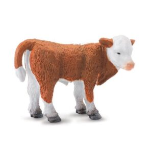Hereford Calf Hereford Calf