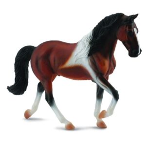 Bay Pinto Tennessee Walking Stallion Horse